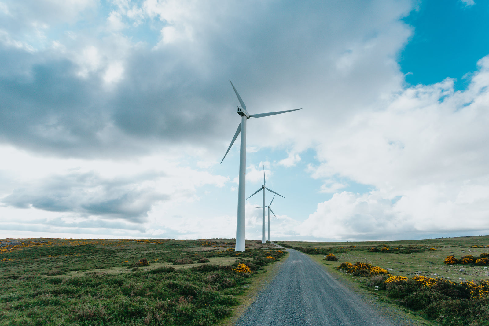 Country road with tall wind turbines
